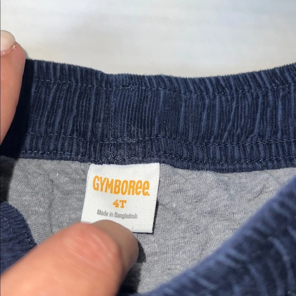 Gymboree Jersey Lined Corduroy Joggers, 4T